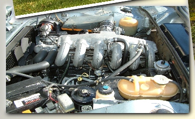 Peter Robart's 3.0 csi engine